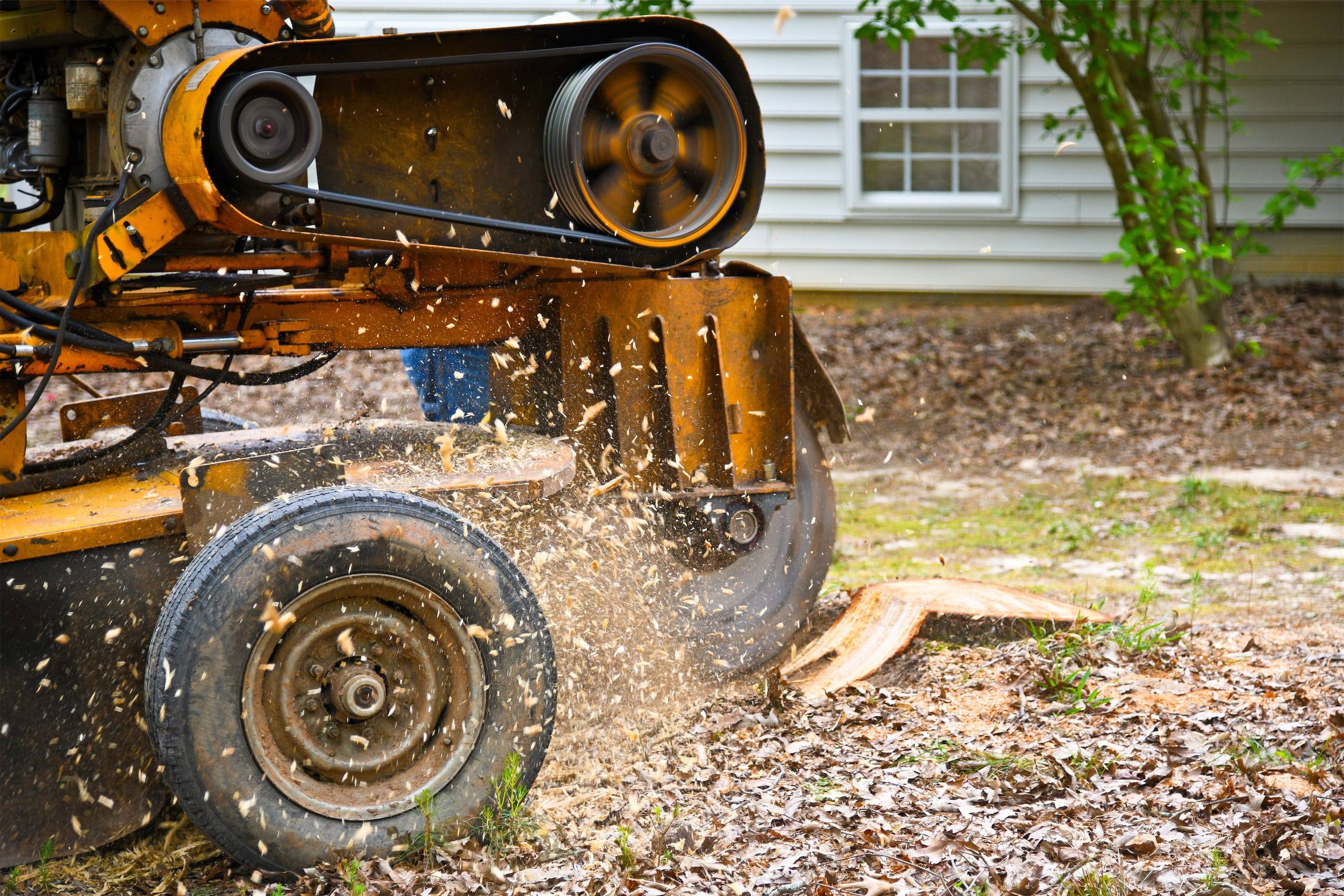 A yellow and brown machine is slicing through a pile of leaves.