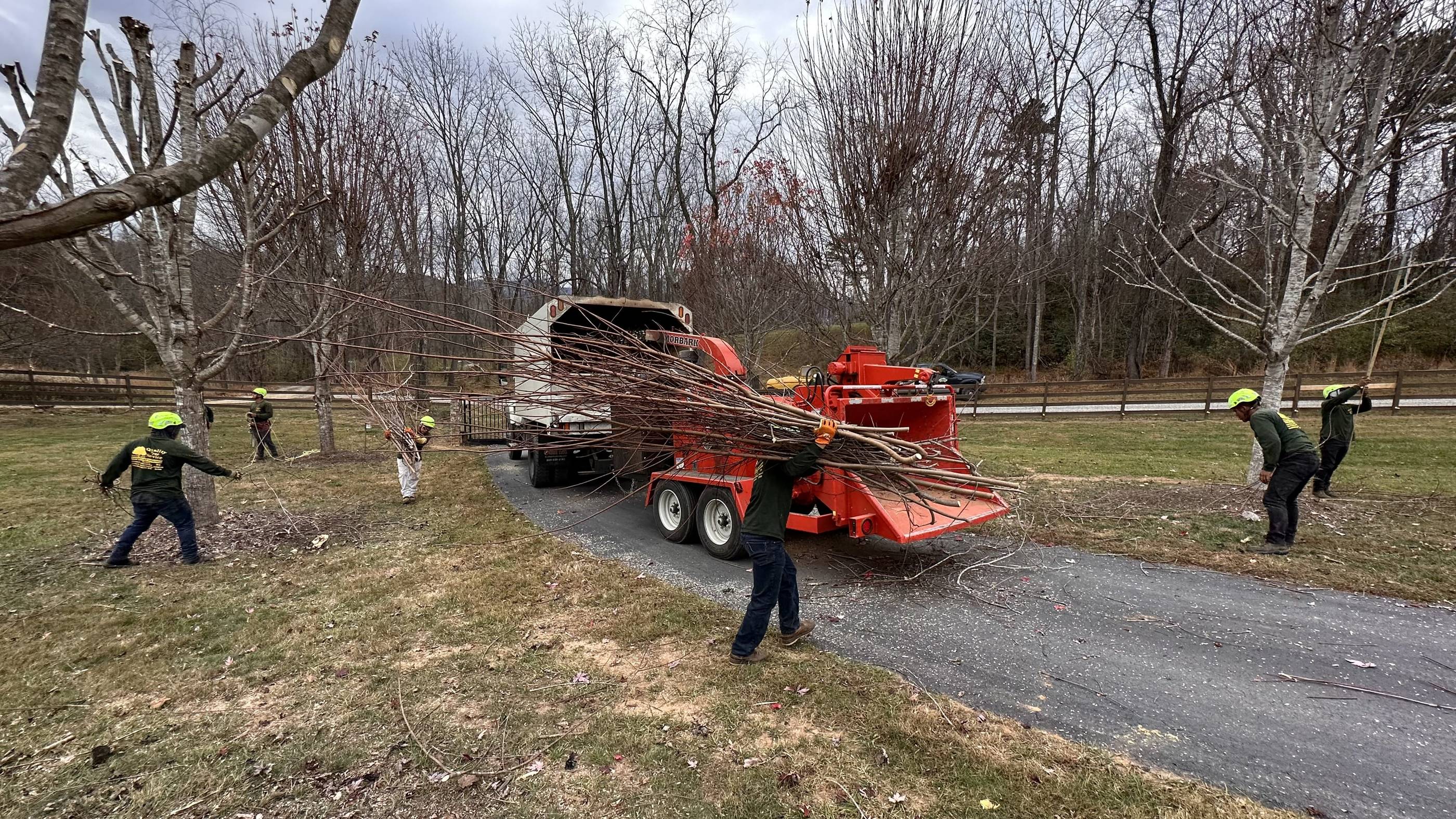 A group of people removing trees from a road.