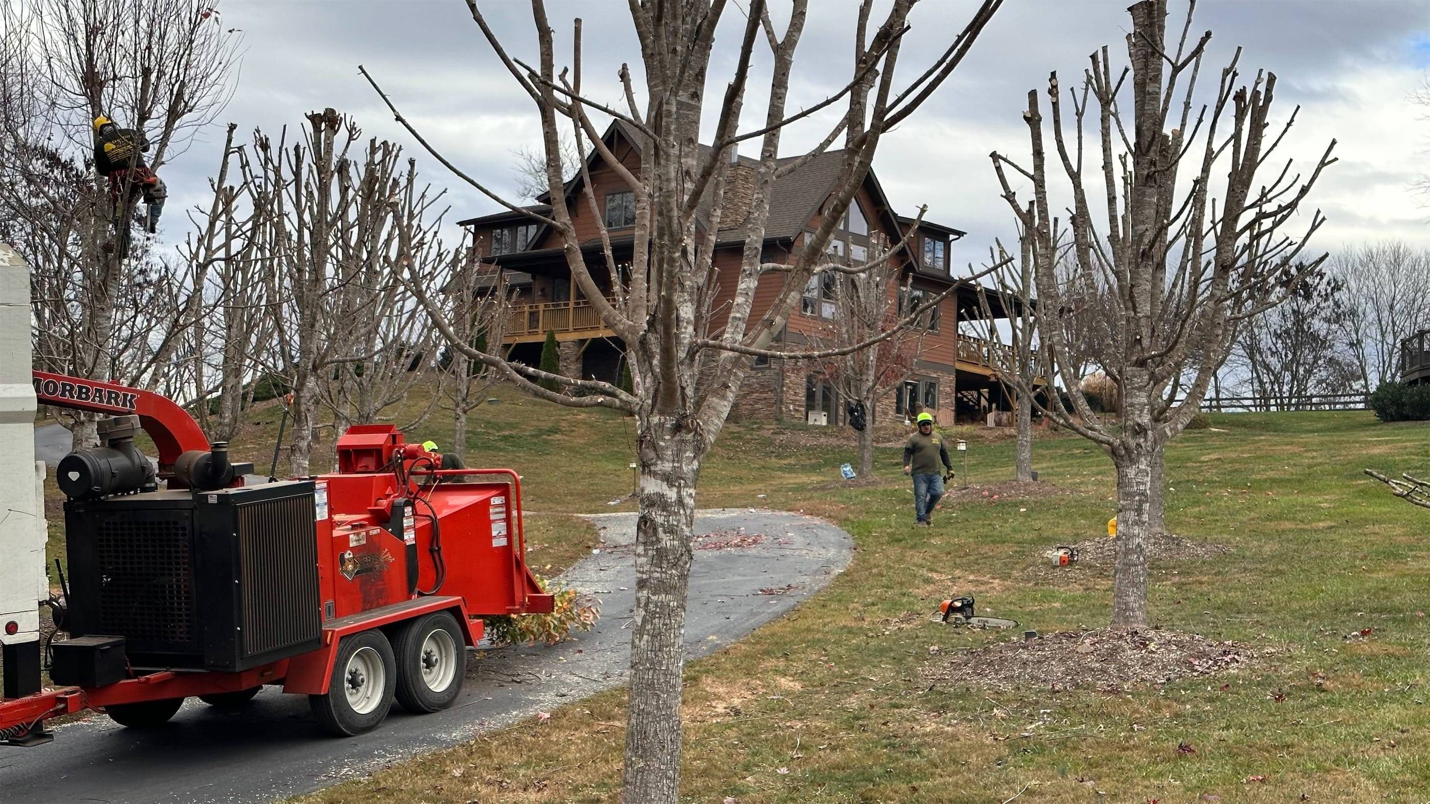 A tree is being cut down in front of a house.