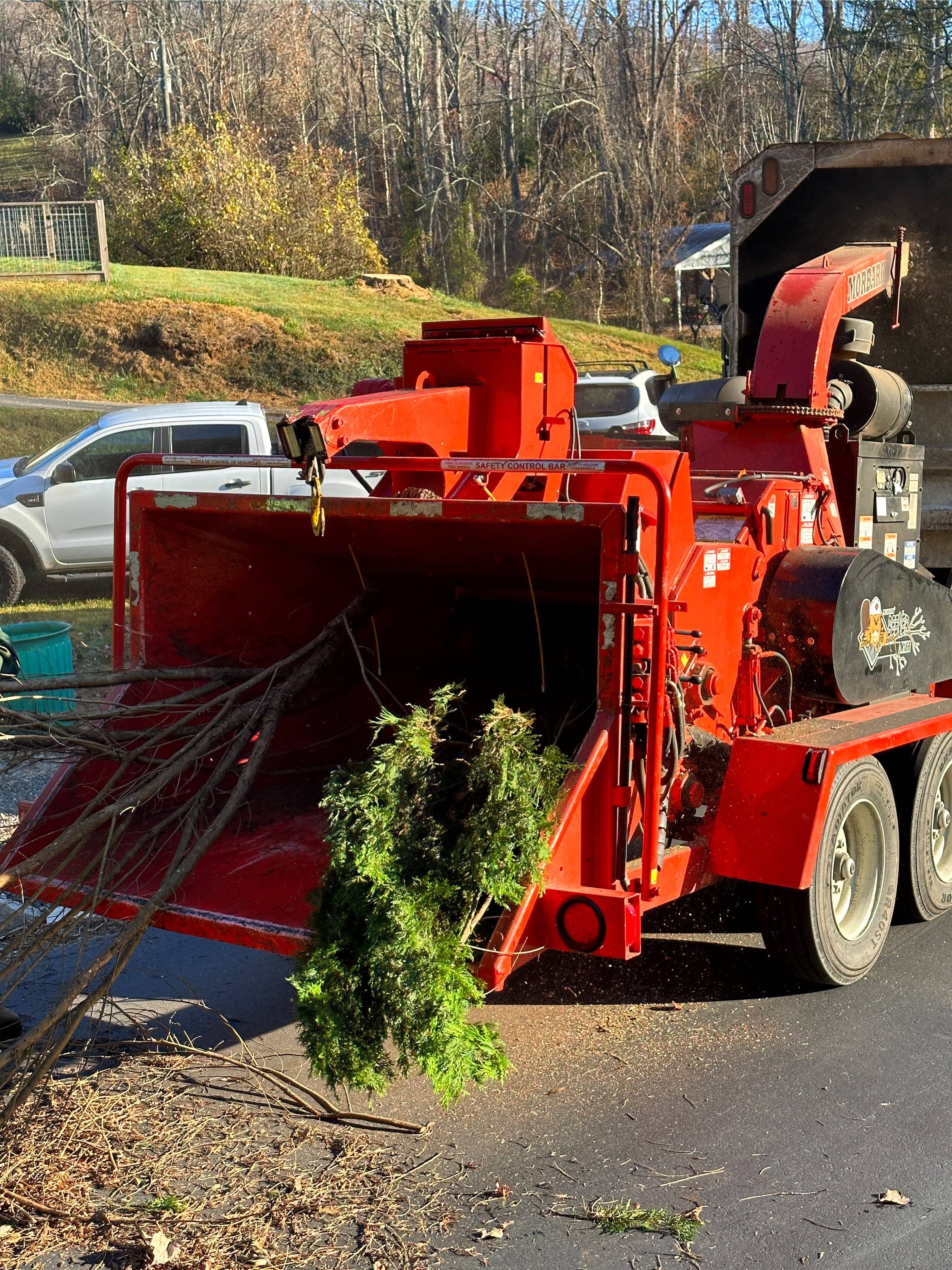 A red truck with a load of trees on it.