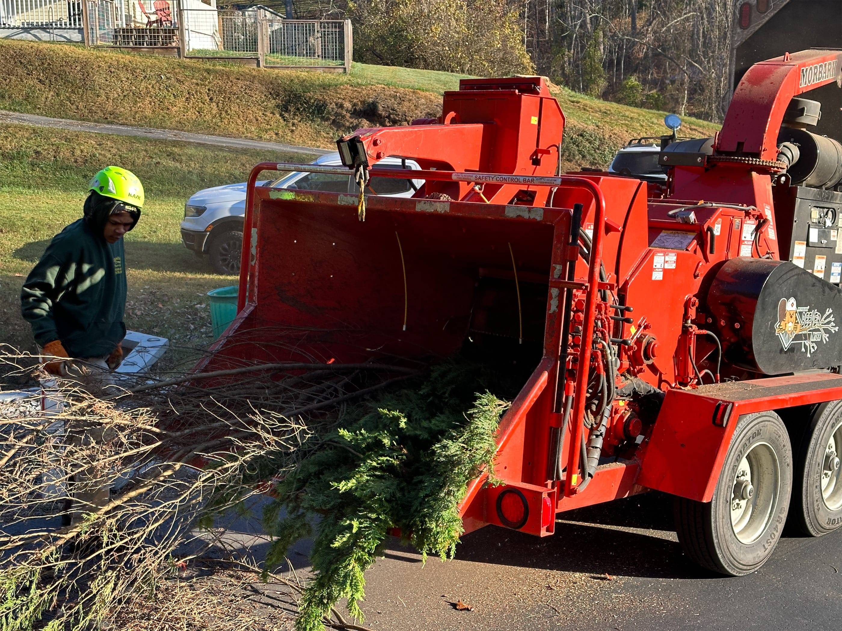 A man is cutting down a tree on a truck.