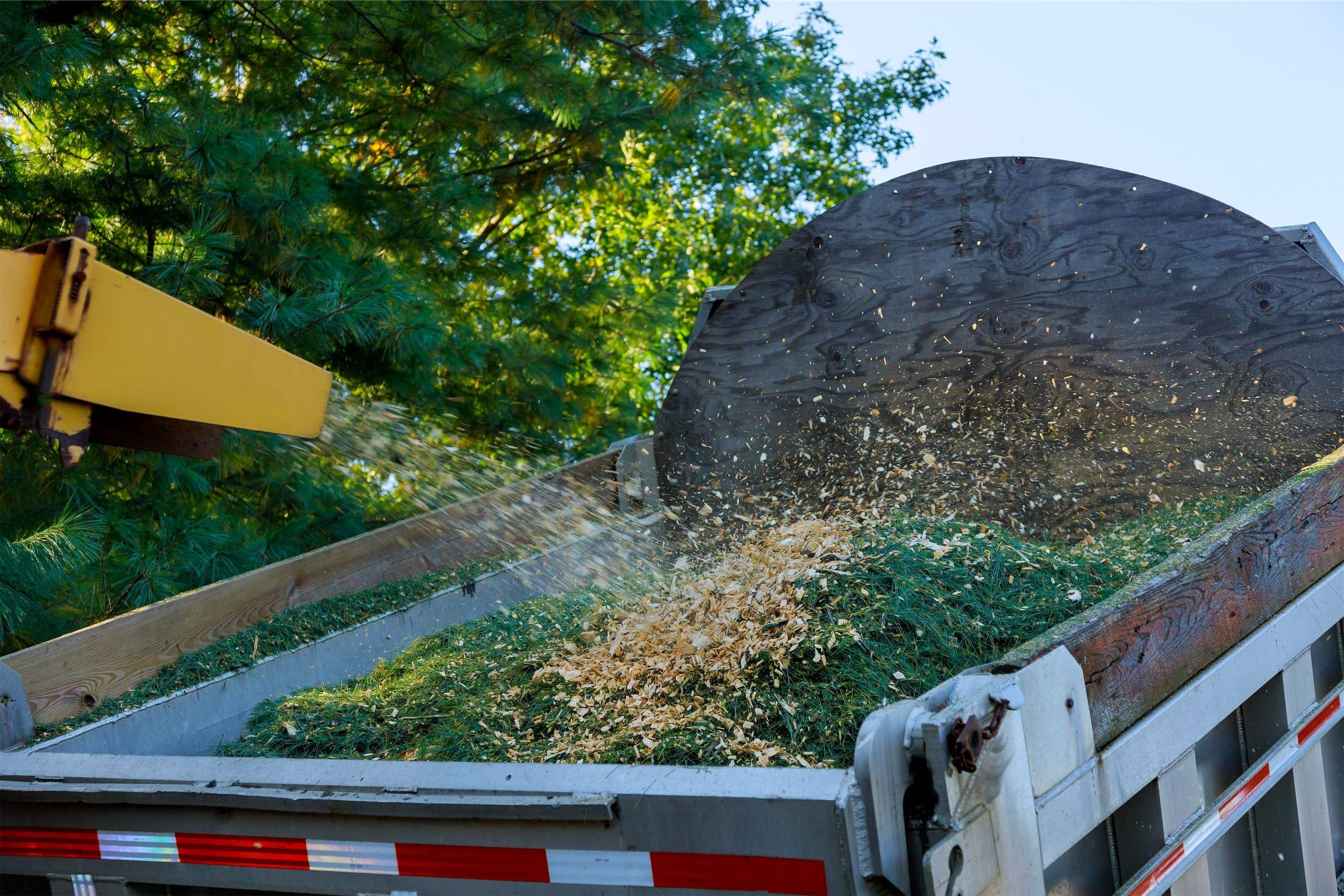 A dump truck with a load of grass in it.