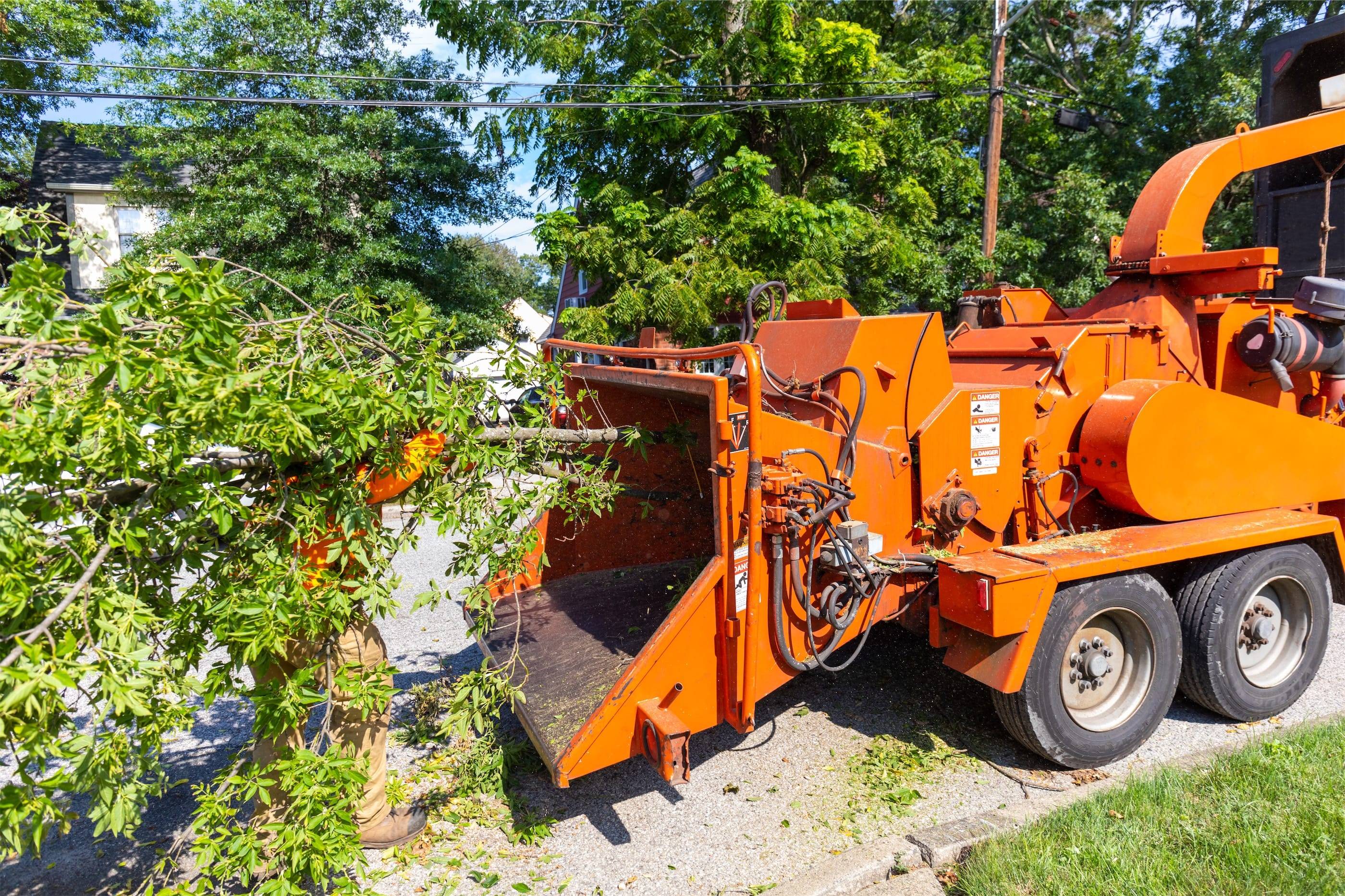 An orange truck with a tree on it.