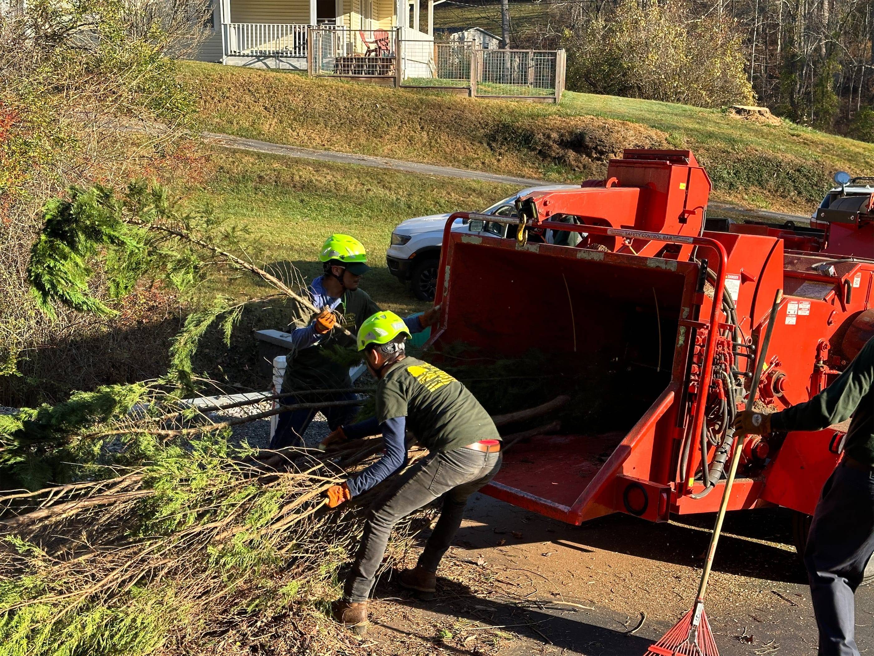 A group of men are removing trees from a truck.