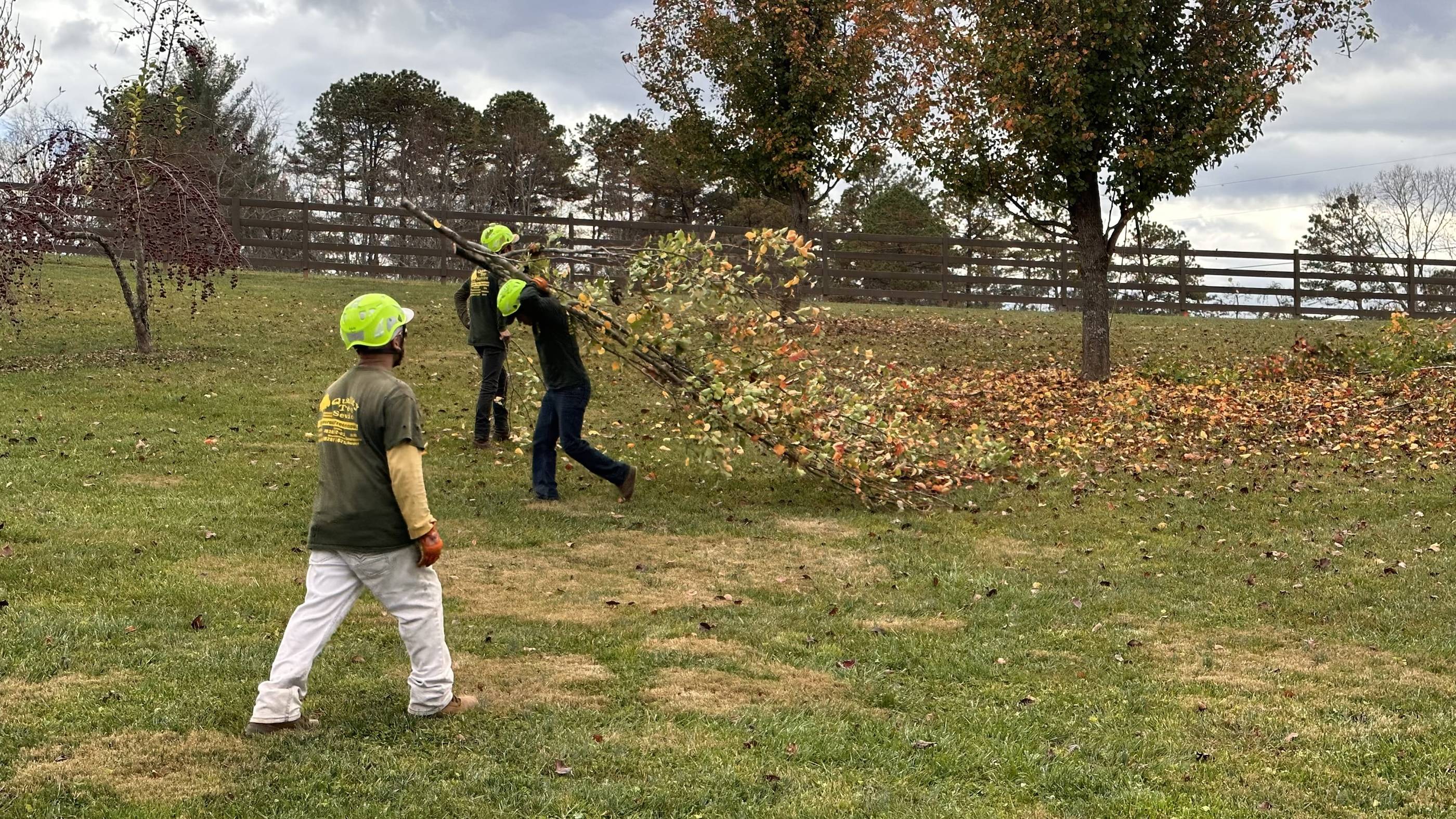 Two men in hard hats picking up leaves in a field.