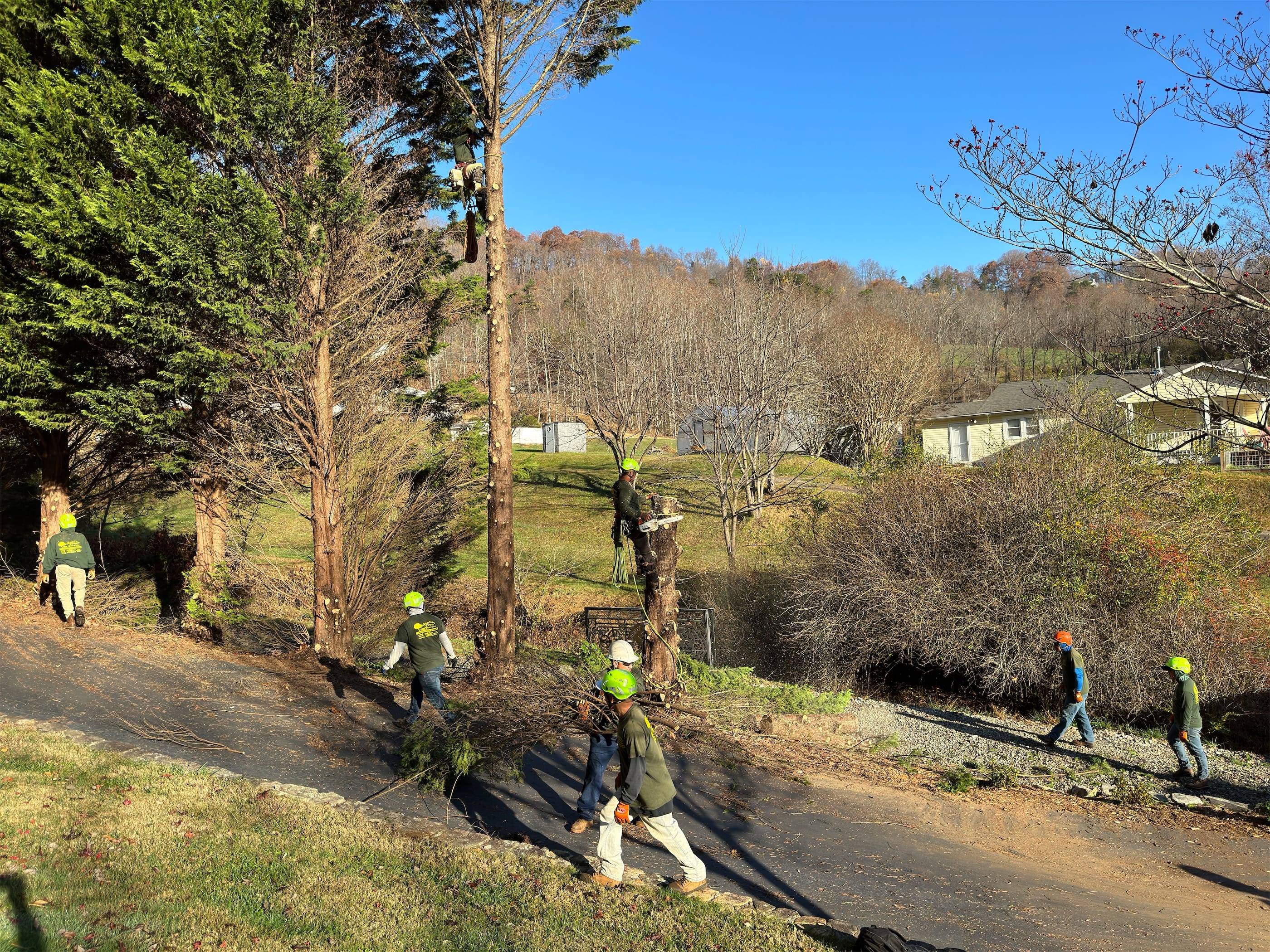 A group of people walking down a hill.