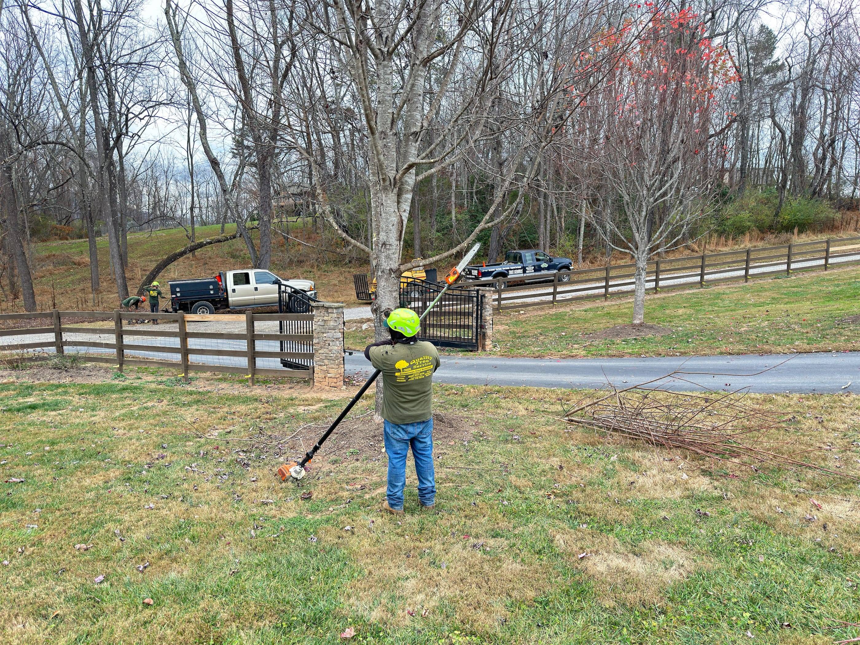 A man cutting down a tree in front of a fence.