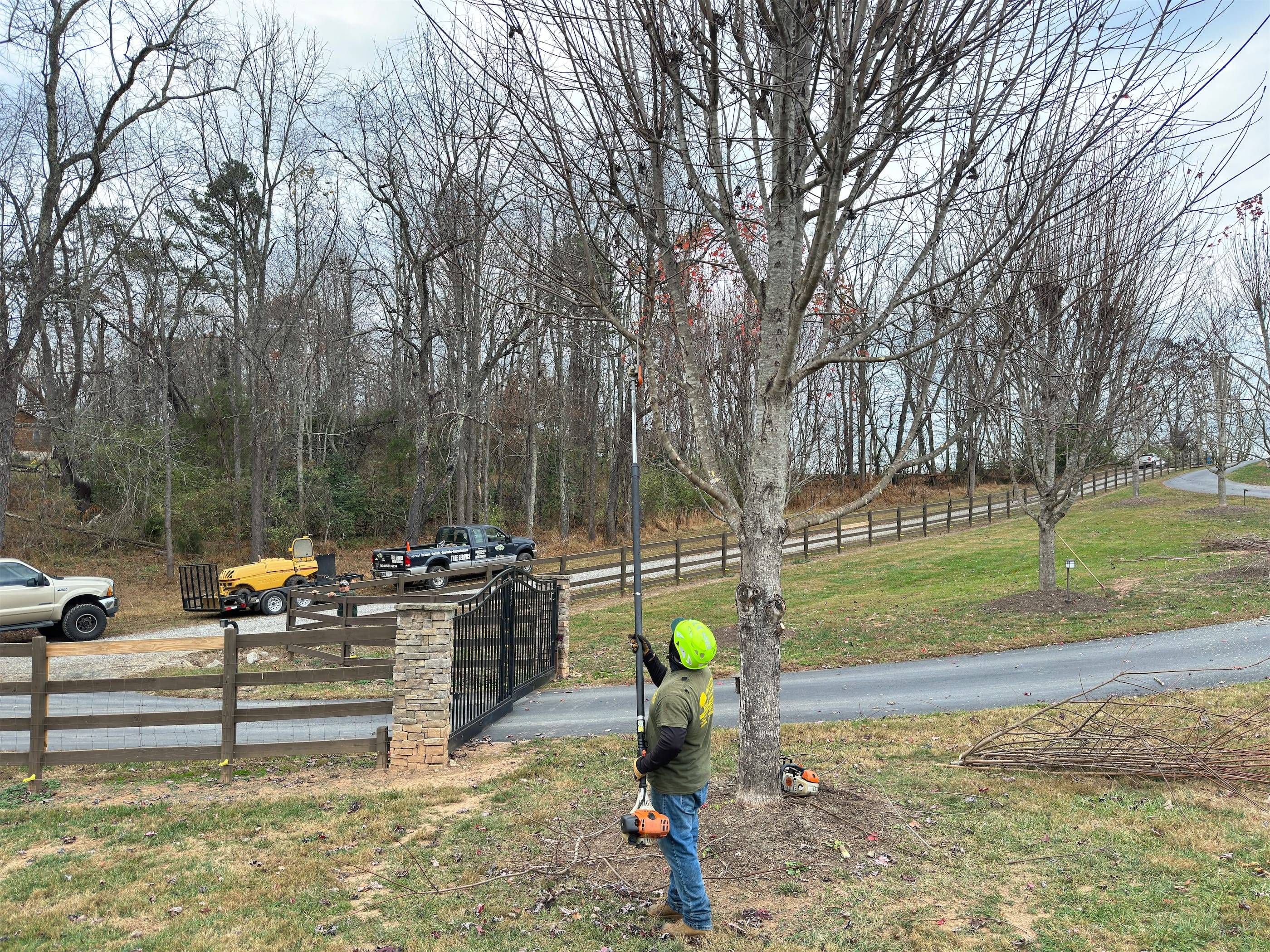 A man cutting down a tree in front of a fence.