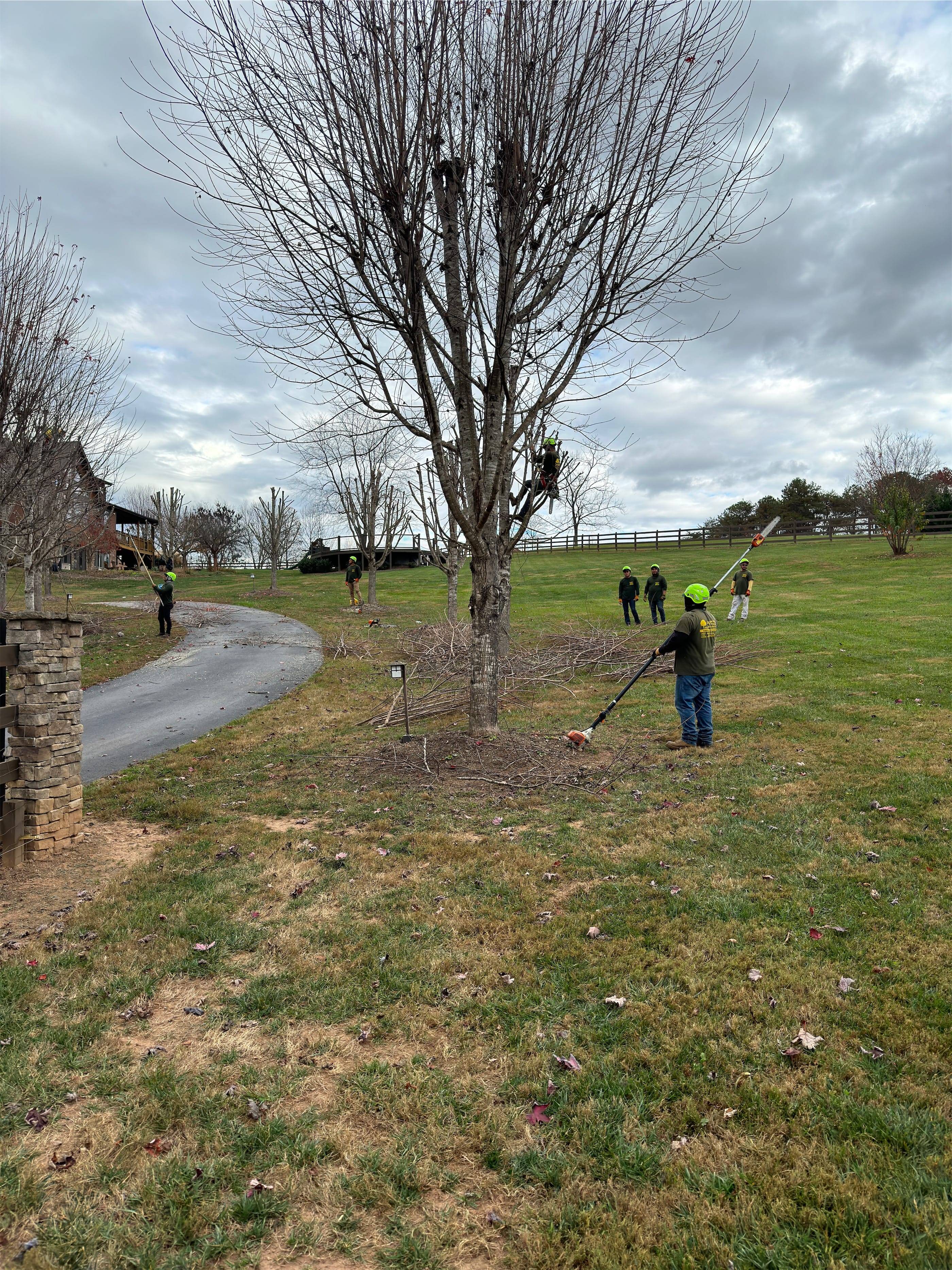 A group of people raking leaves in a field.