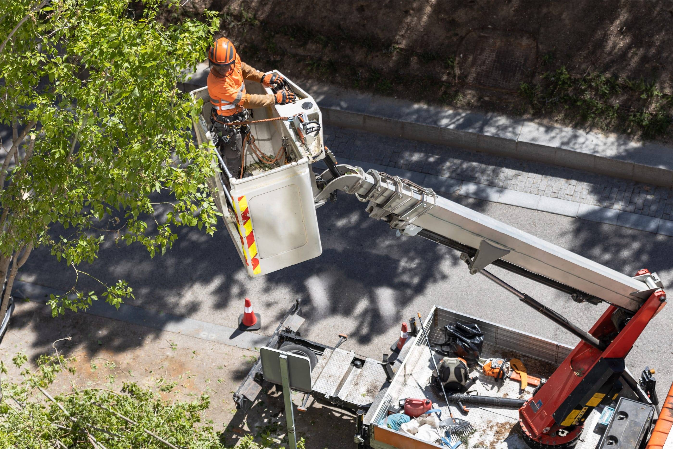 An aerial view of a man working on a tree.