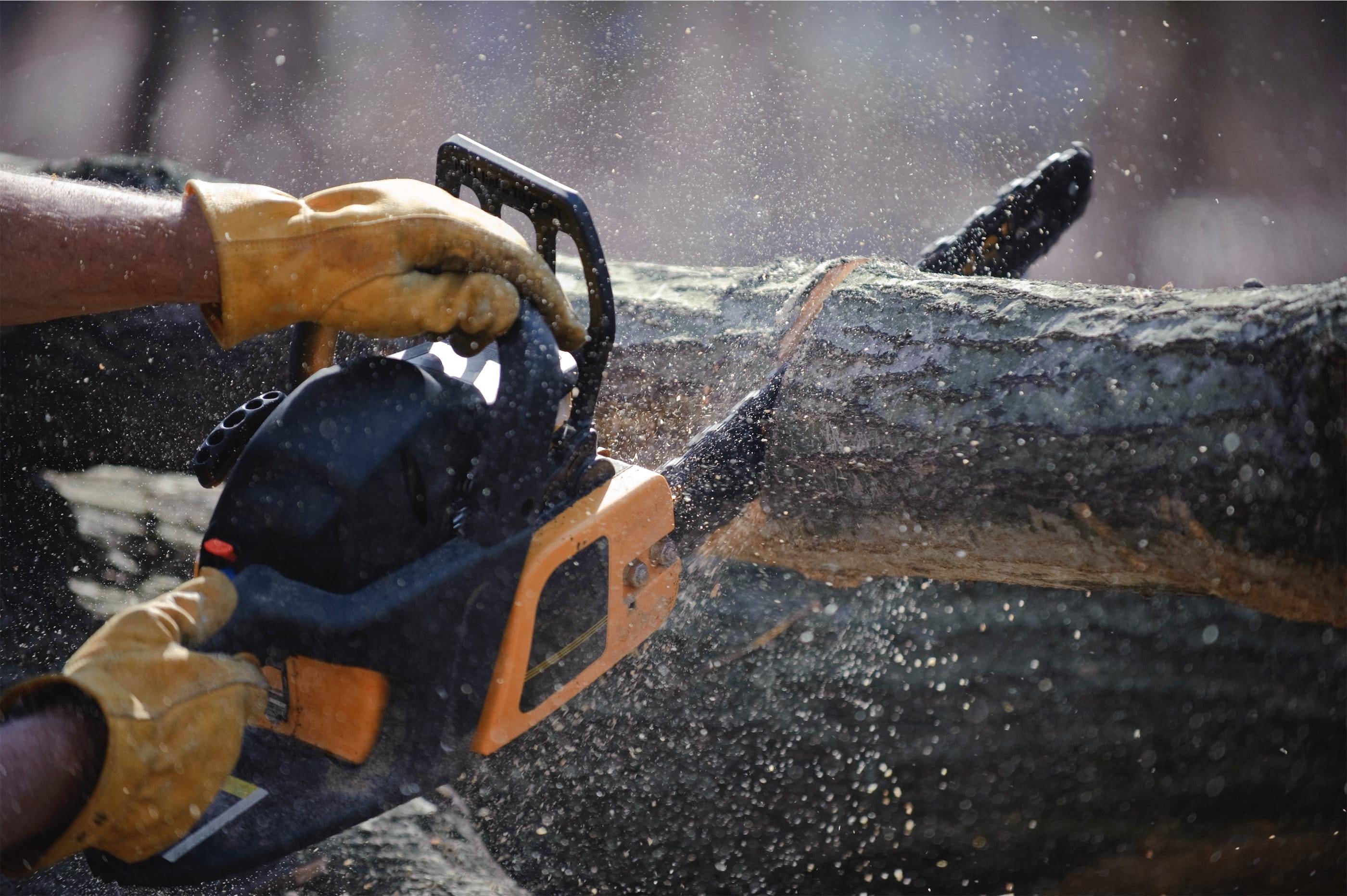 A person using a chainsaw to cut a log.