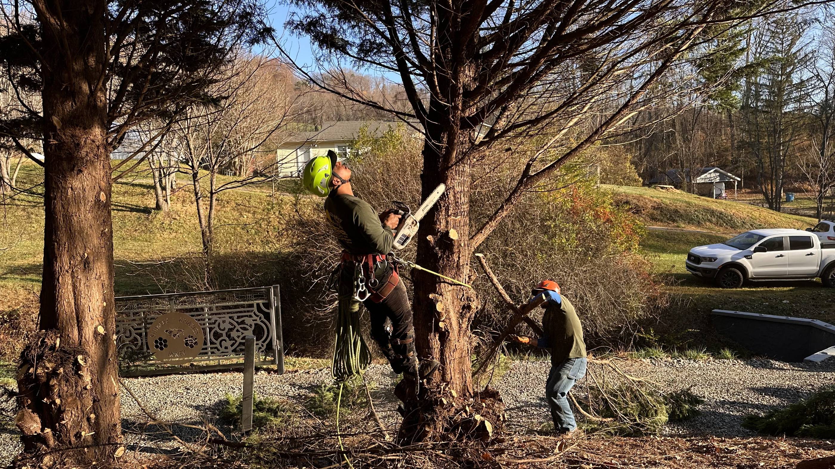 Two men cutting down a tree in a yard.