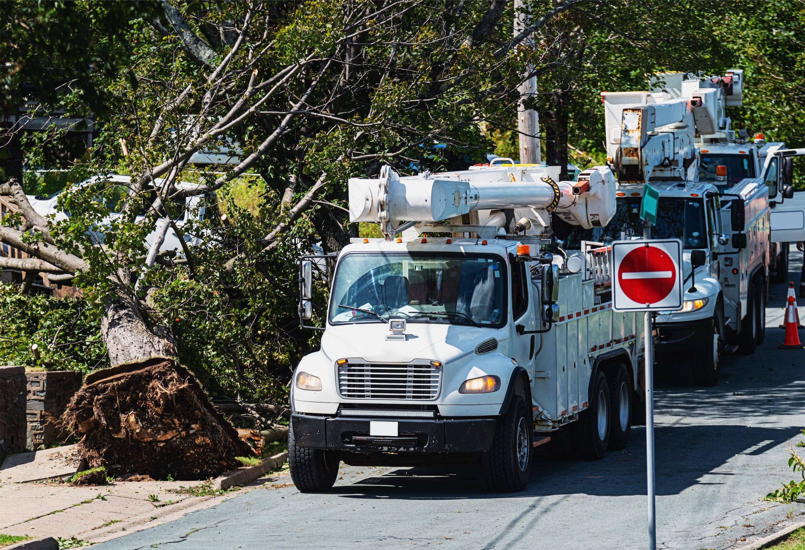 A truck is driving down a street with a tree in the road.