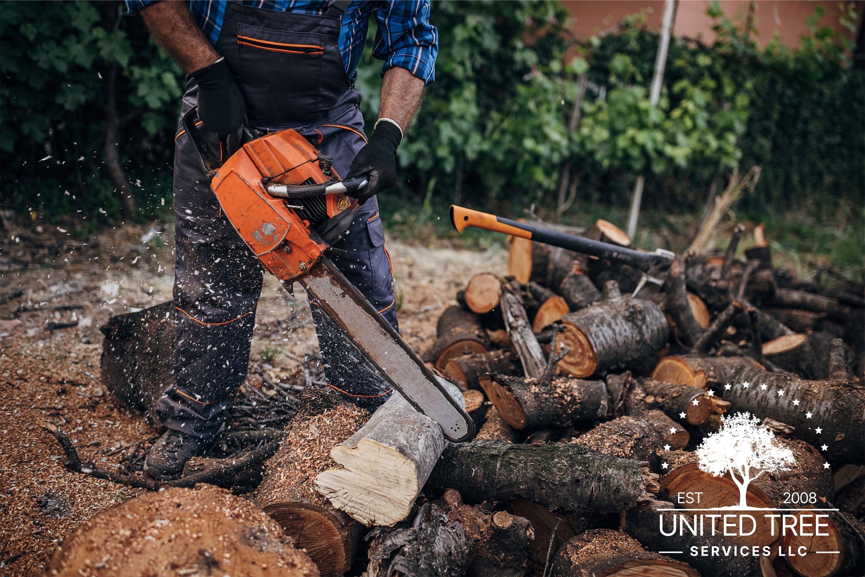 A man cutting a tree with a chainsaw.