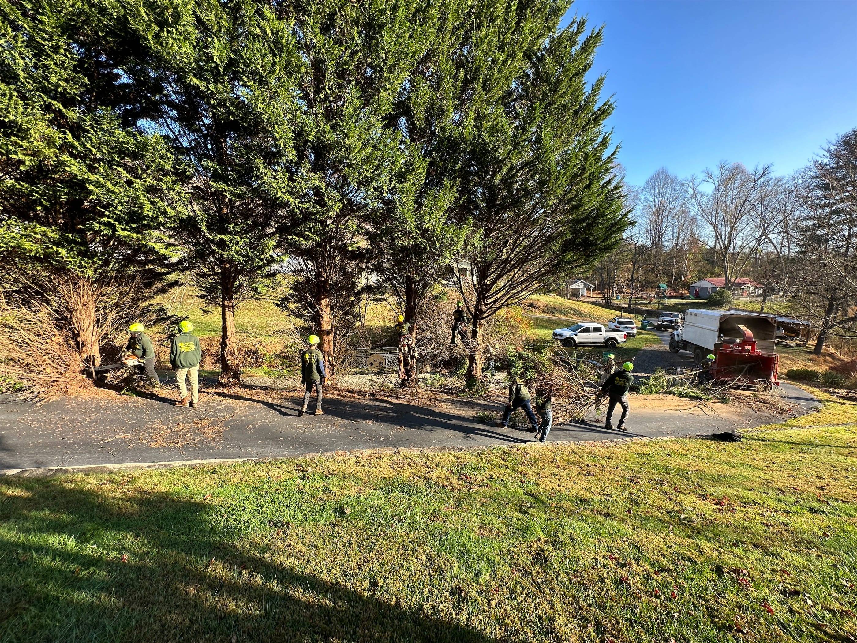 A group of people working on a lawn.