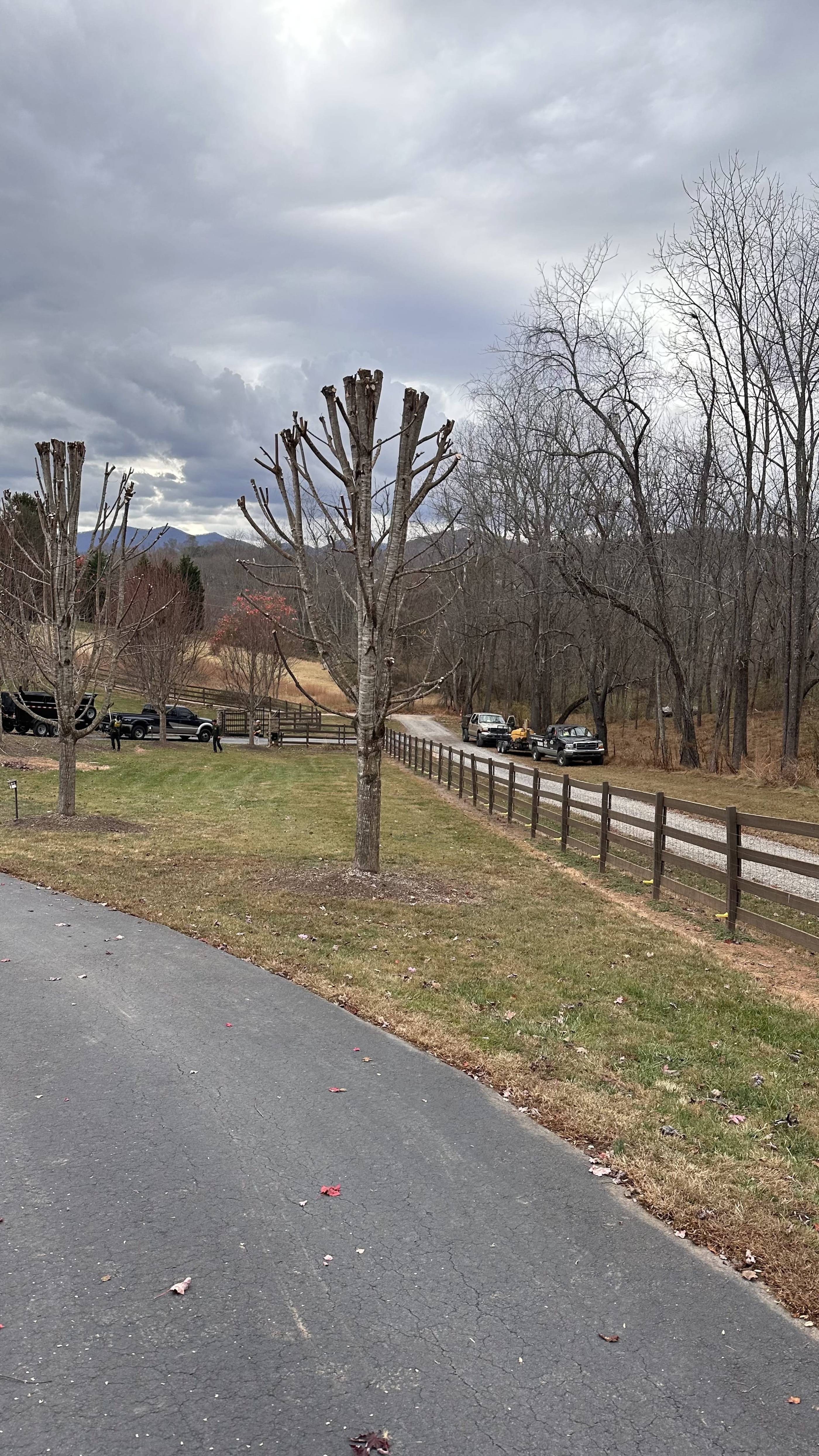 A paved road with trees on either side.